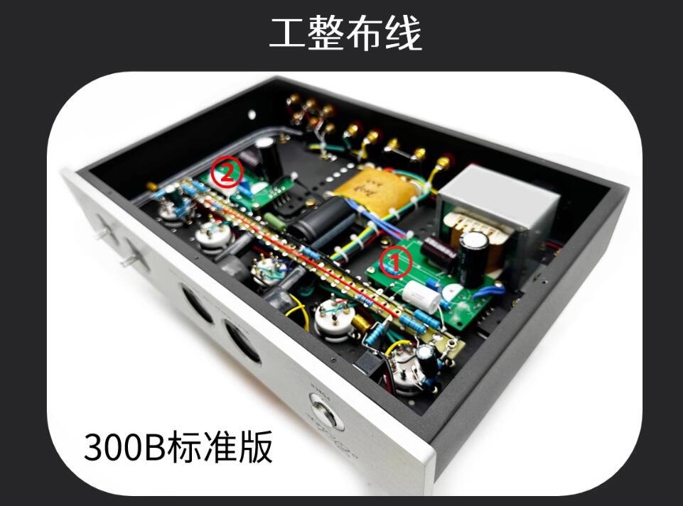 Oldchen 300B 9W*2 Tube Amplifi – Tube Amplifier Part Bewertung und Preis